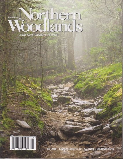 Northern Woodlands Magazine