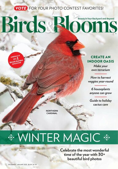 Birds &amp; Blooms Magazine