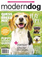 Modern Dog Magazine