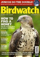 Birdwatch Magazine