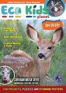 Eco Kids Planet Magazine