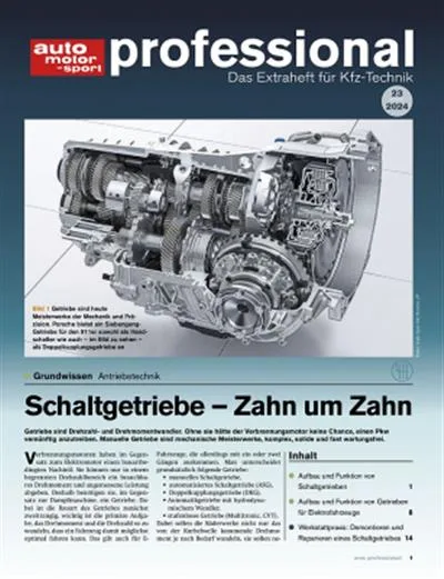 Auto Motor und Sport Professional (alemán)
