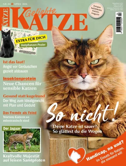 Geliebte Katze (alemán)