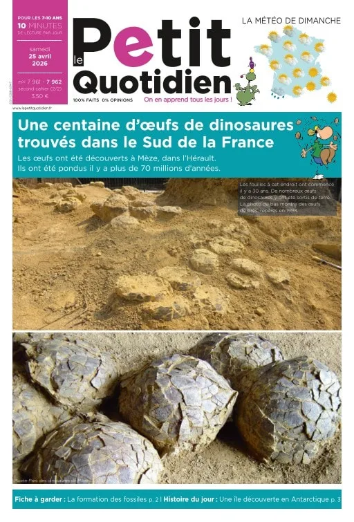 Le Petit Quotidien (francés)